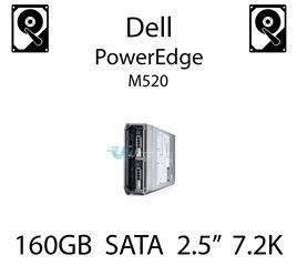 160GB 2.5" dedykowany dysk serwerowy SATA do serwera Dell PowerEdge M520, HDD Enterprise 7.2k, 3Gbps - K836N (REF)