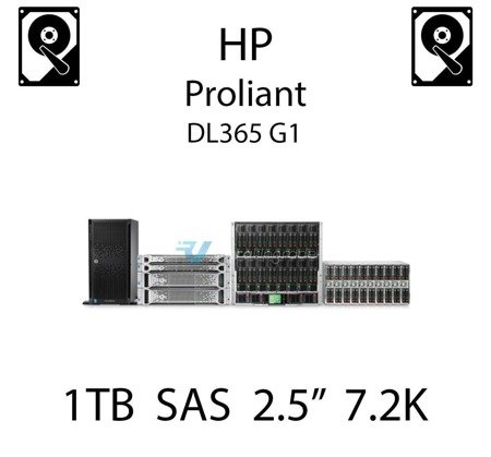 1TB 2.5" dedykowany dysk serwerowy SAS do serwera HP ProLiant DL365 G1, HDD Enterprise 7.2k - 606020-001 (REF)