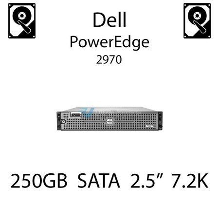 250GB 2.5" dedykowany dysk serwerowy SATA do serwera Dell PowerEdge 2970, HDD Enterprise 7.2k, 6GB/s - HC79N (REF)
