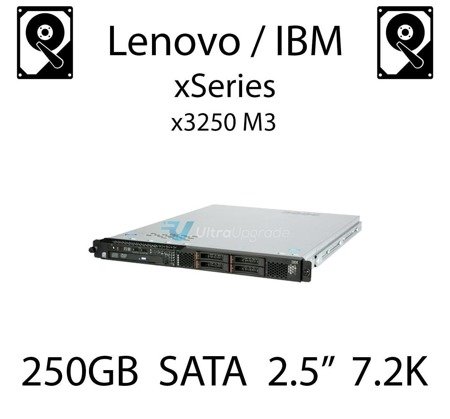 250GB 2.5" dedykowany dysk serwerowy SATA do serwera Lenovo / IBM System x3250 M3, HDD Enterprise 7.2k, 600MB/s - 81Y9722 (REF)