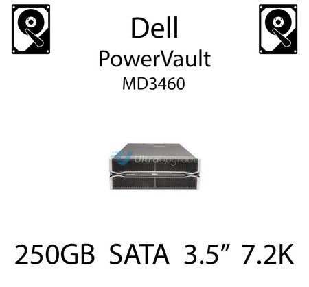 250GB 3.5" dedykowany dysk serwerowy SATA do serwera Dell PowerVault MD3460, HDD Enterprise 7.2k, 320MB/s - TM727 (REF)